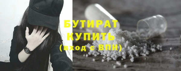 гидра Богородицк
