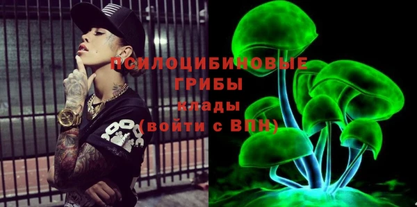 МДПВ Вяземский